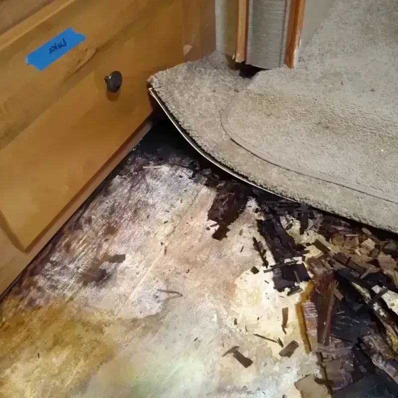 Best Wood Floor Water Damage Service in Port LaBelle, FL